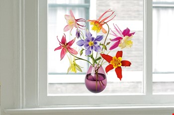 flatflowers.nl